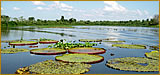 El Pantanal
